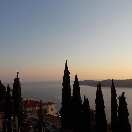 Apartment Matea Zlatni Potok Dubrovnik Eksteriør bilde